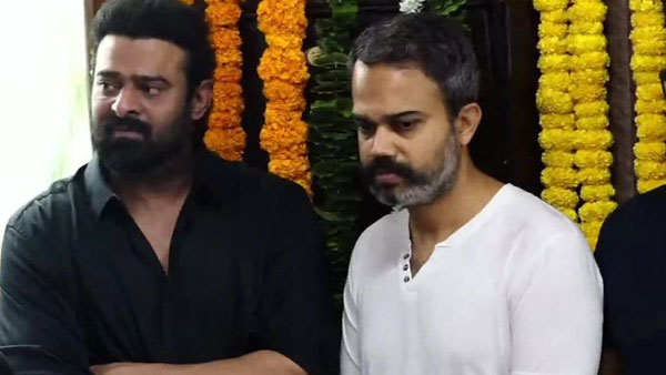 డైరెక్టర్ ఆగ్రహం