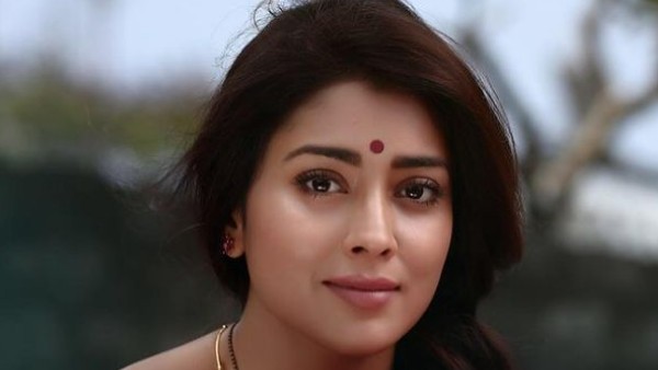 ఇక్కడే కాదు.. ఆ భాషల్లో హవానే