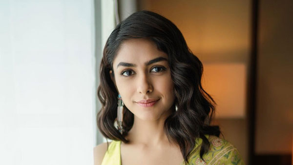 హిందీలో భారీగా వసూళ్లు రాబట్టింది