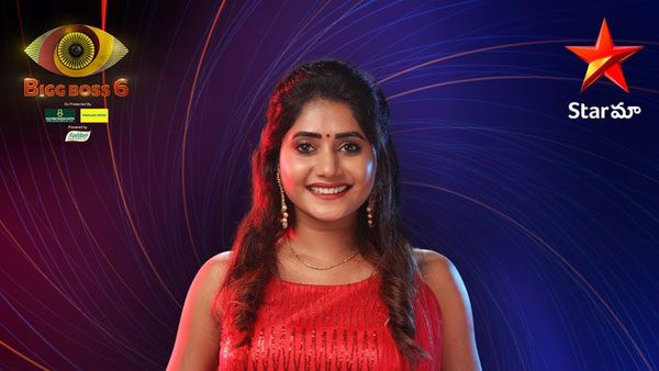 ఏ పిట్ట వచ్చినా..