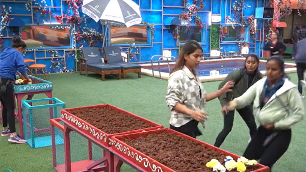 పువ్వుల టాస్క్..