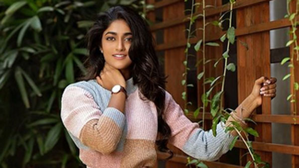 అక్కడ వరుస మూవీలు చేసి