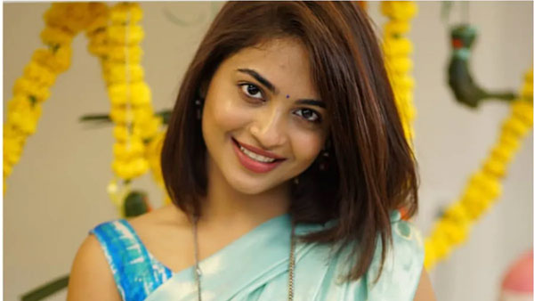 బిగ్ బాస్ ఛాన్స్.. లవ్ ట్రాకుతో