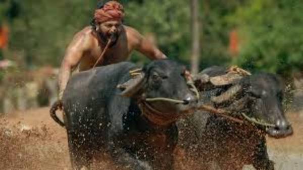  ఎమోషనల్ కంటెంట్‌తో