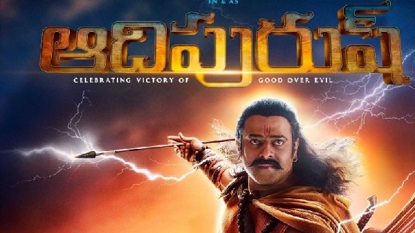 అభ్యంతరాలు