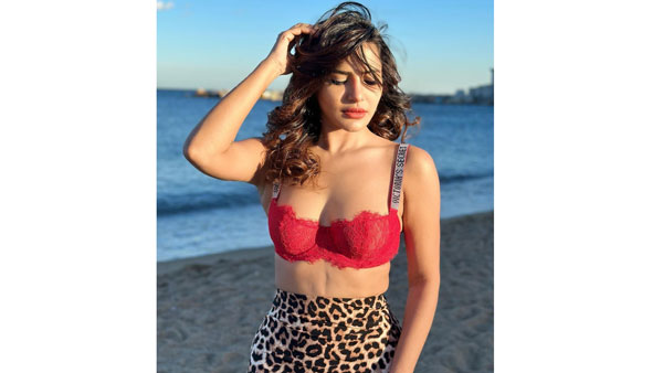 ఫొటోలు, వీడియోలతో రచ్చ..