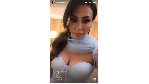 నందినీ హాట్ సెల్ఫీ వైరల్‌గా