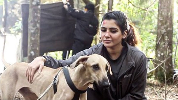 యశోద ఫైనల్‌గా ఎలా ఉందంటే..