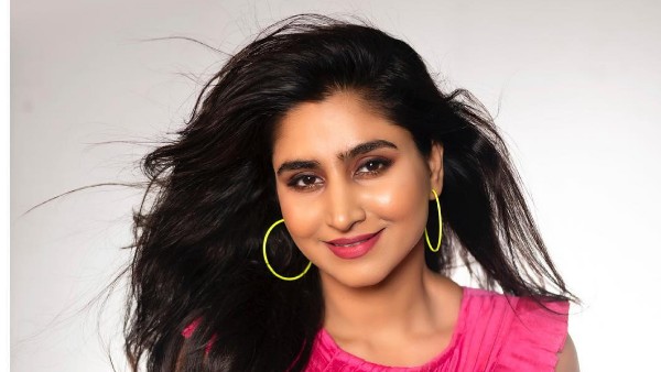 టెలివిజన్‌లోకి.. యాంకర్‌గానూ