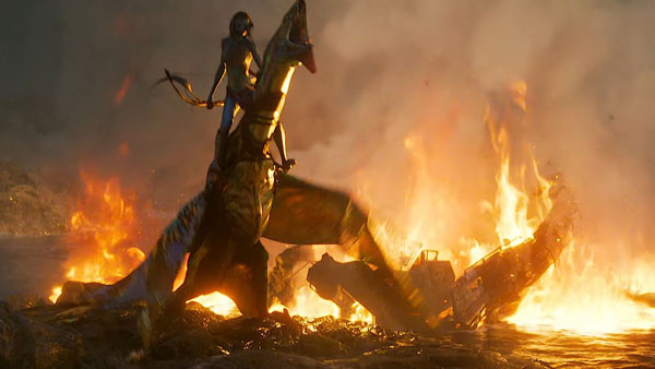 ఇండియా మొత్తం వసూళ్లు