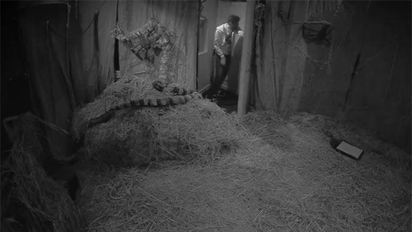 గీతూతో ఎక్కువ బాండింగ్..