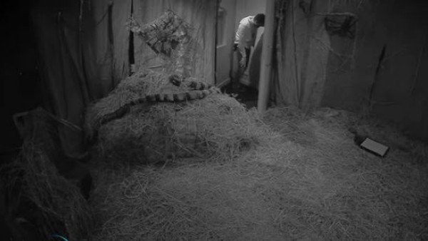 కావాలంటే పడుకోవచ్చు