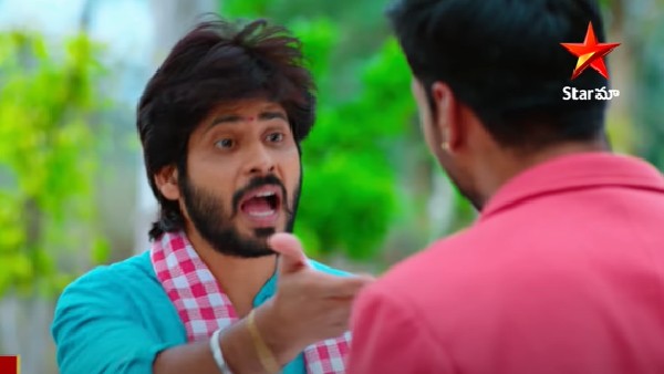 మల్లిక సలహాలు