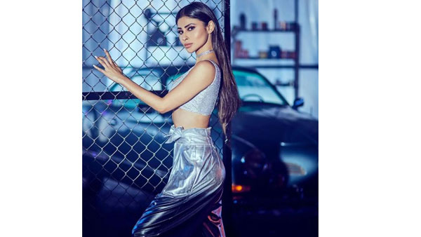 హాట్ పిక్స్ వదిలిన బ్యూటీ