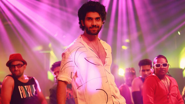 దర్శకుడు పనితీరు..