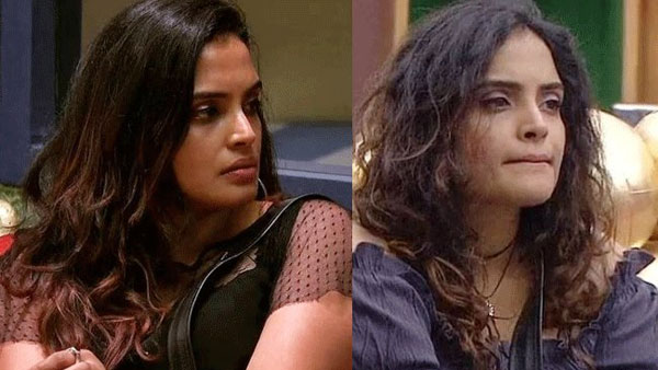 సోషల్ మీడియాలో సందడి