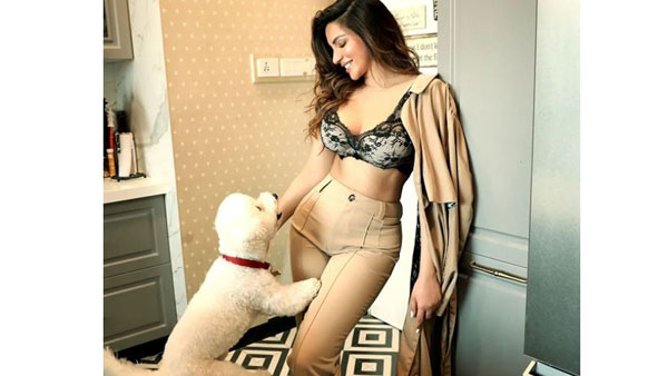 షమ హాట్ పిక్స్ వైరల్‌గా