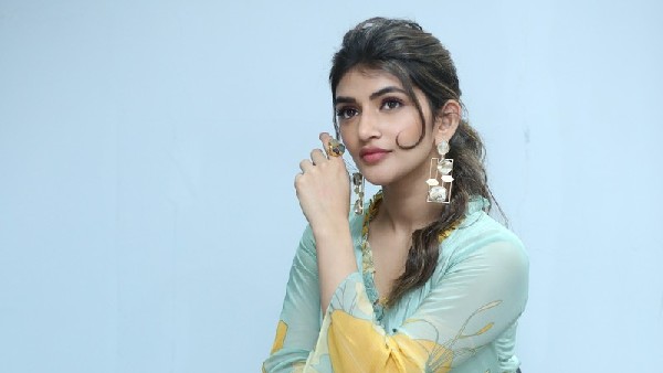 పెళ్లి సందD సమయంలో ధమాకా కథ 