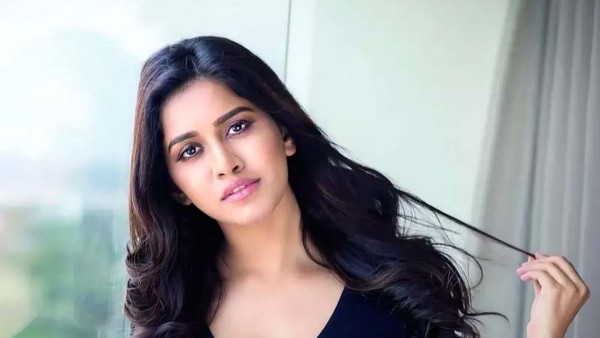 సక్సెస్ కానీ నభా సినిమాలు..