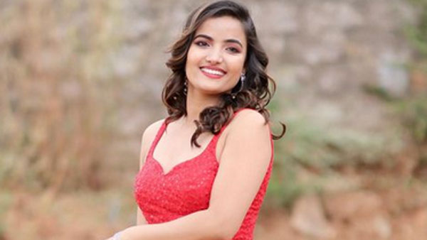 పలు సీరియళ్లలో..