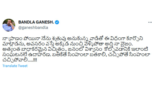 బతికితే సింహంలా బతకాలి..
