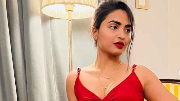 బిగ్ బాస్ షోతో క్రేజ్ రెట్టింపు