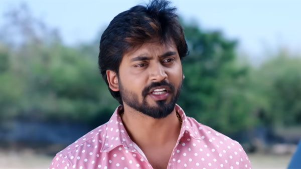 వసుధారలా అందనంత ఎత్తుకు..