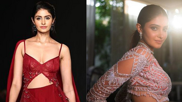 హైదరాబాద్లో పుట్టి.. మలేషియాలో