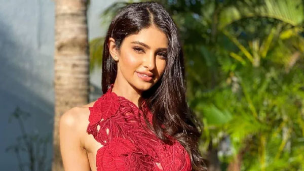 Actor Nagarjuna new movie heroine latest update