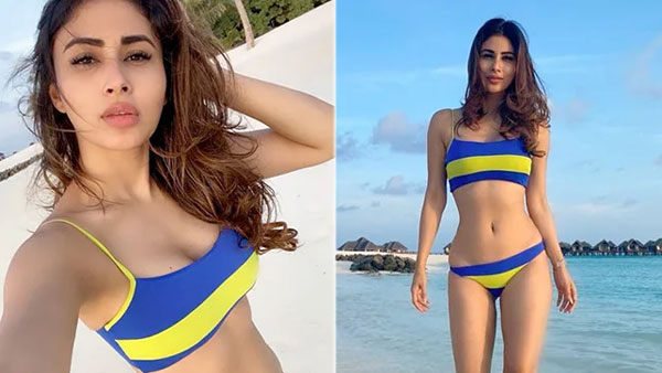 నాగిని కంటే ముందుగానే..