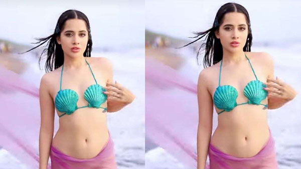 డిజైన్, చేష్టలకు అలవాటు పడి..