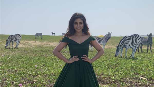 తెలుగులో కూడా హిట్ సినిమాలు