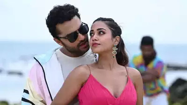 పాజిటివ్ వైబ్రేషన్స్