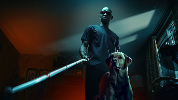 నెట్ ఫ్లిక్స్ వేధికగా