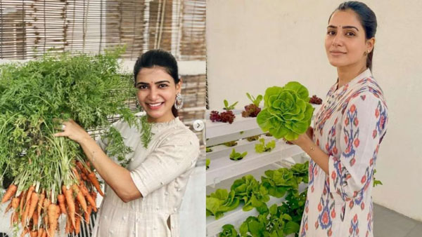 నష్టపోయిందట