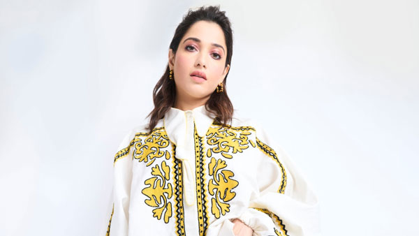 స్టార్‌డమ్... వరుస ఆఫర్లు