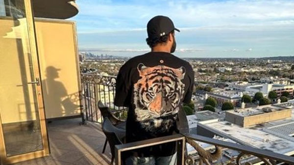 తీక్షణంగా చూస్తున్న పులి బొమ్మ..