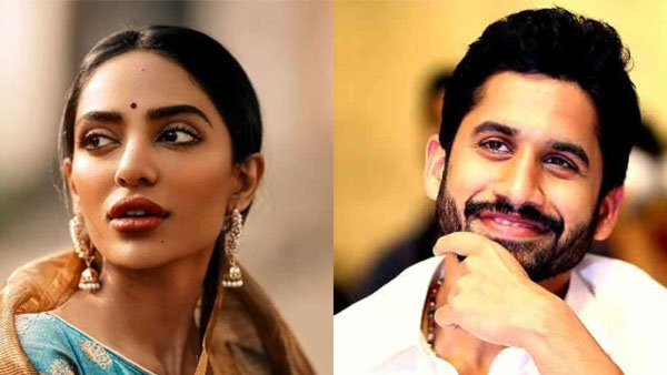 Akkineni akhil unexpected reaction on naga chaitanya gossips