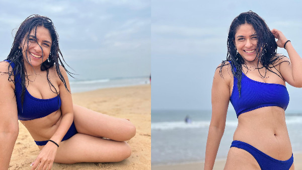 Heroine Mrunal Thakur Stunning Photo Shakes Internet