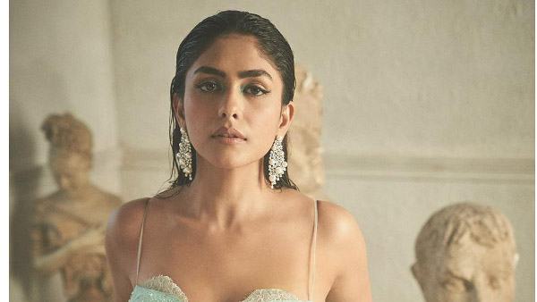 స్టార్ హీరోల సరసన..