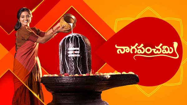 Star Maa tops in Indian Television Rankings: Brahmamudi, Naga Panchami stood on No 1 Star Maa tops in Indian Television Rankings: Brahmamudi, Naga Panchami stood on No 1