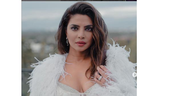 Actress Priyanka Chopra Looks Spicy in Latest Photo Actress Priyanka Chopra Looks Spicy in Latest Photo
