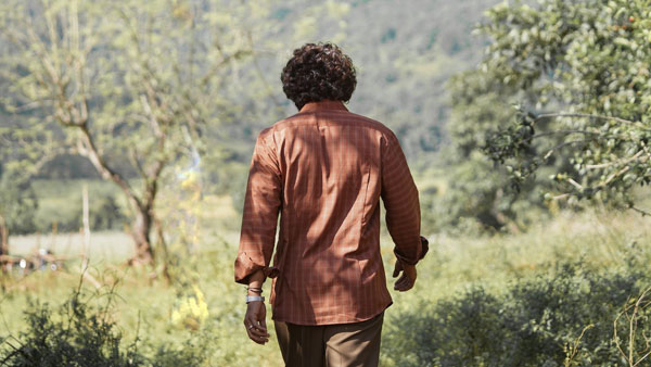 రంగంలోకి సీనియర్ హీరో..