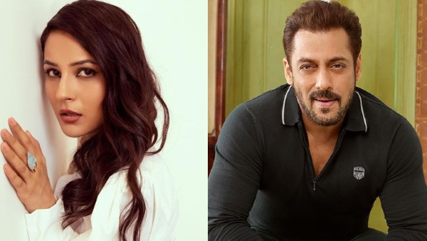 Salman Khan About Shehnaaz Gill In Kisi Ka Bhai Kisi Ki Jaan Kapil Sharma Show Salman Khan About Shehnaaz Gill In Kisi Ka Bhai Kisi Ki Jaan Kapil Sharma Show