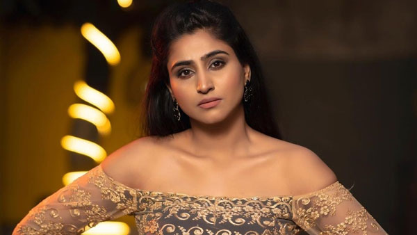 సినిమాలు, సిరీస్‌లతో బిజీ