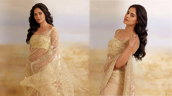 Bigg Boss Winner Bindu Madhavi Latest Beautiful Photos