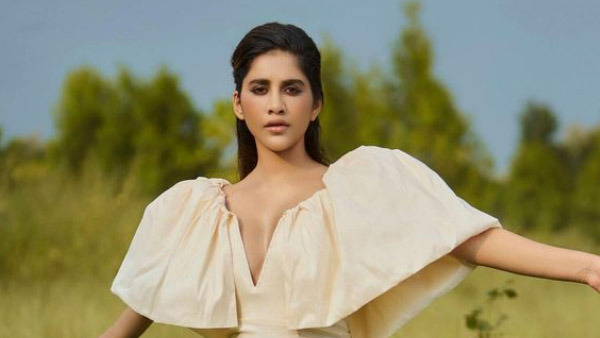 Actress Nabha Natesh Latest Sizzling Photos Viral