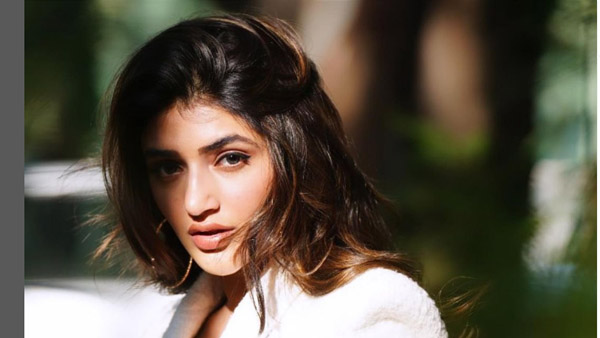 Sreeleela Replaced Samantha In Chennai Story Hollywood Movie