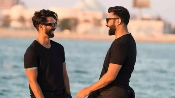 Shahid Kapoor Starrer Bloody Daddy Movie Review And Rating In Telugu