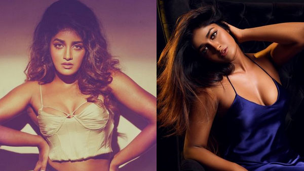 Telangana High Court Comments On Dimple Hayathi Arrest Over DCP Rahul Hegde Case